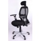 Scaun de birou ergonomic ErgoFuture